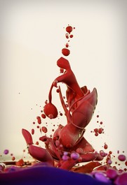 Dropping 01 by Alberto Seveso